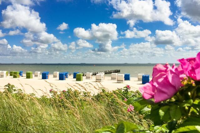 Apartmán Haus Uthlande Uthlande Whg 4 Wyk auf Föhr Exteriér fotografie